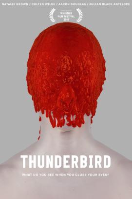 Thunderbird - Schatten der Vergangenheit (2019)