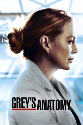 Grey's Anatomy: Die jungen Ärzte - Staffel 19 (2023)