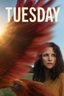 Tuesday (2024)