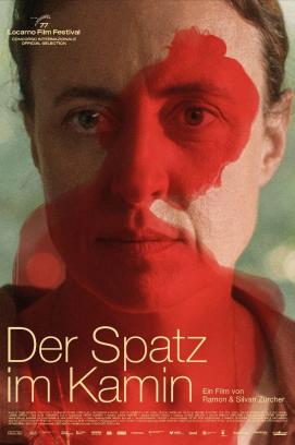 Der Spatz im Kamin (2024)