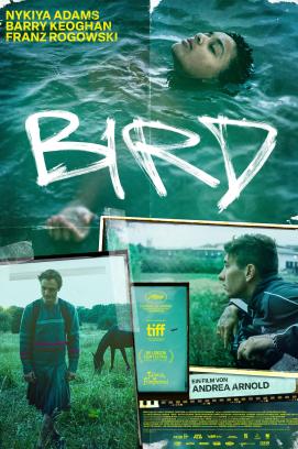 Bird (2024)